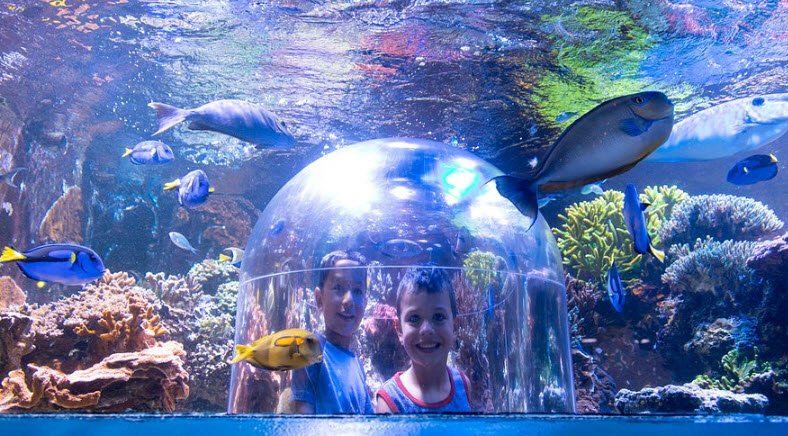 Butterfly House and Aquarium, South Dakota, USA